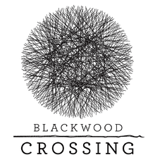 Cover image of Blackwood Crossing on PS4