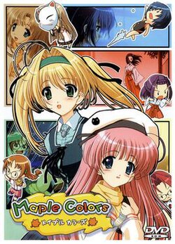 Cover image of Maple Colors on PS2