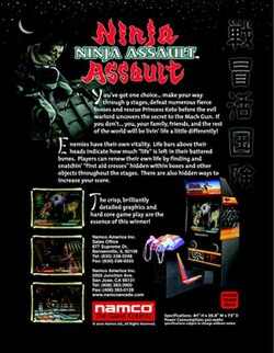 Cover image of Ninja Assault on PS2