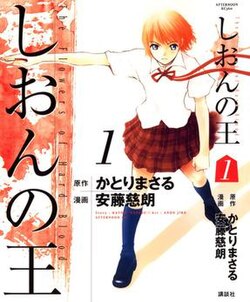 Cover image of Shion no Ō on DS